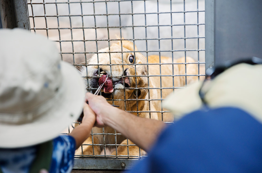 ファミリーフォトキャラバン